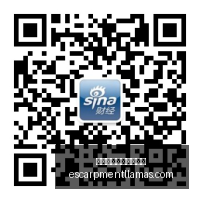 美债,年收益率突,大关,熊猫体育,熊猫体育新手,快速入门